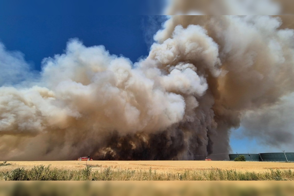 FOTO: V obci v okrese Nové Zámky vypukol rozsiahly požiar pola, foto 3