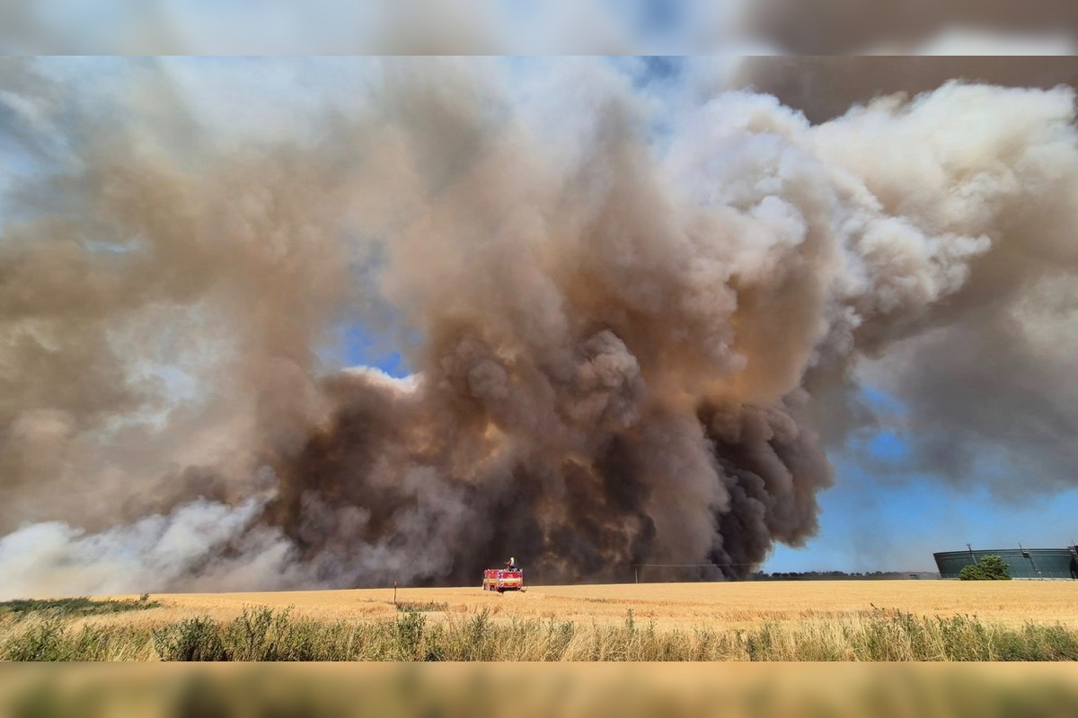 FOTO: V obci v okrese Nové Zámky vypukol rozsiahly požiar pola, foto 4