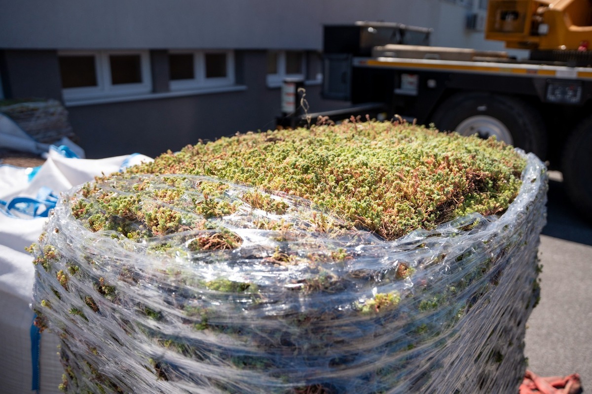 FOTO: V Nitre pribúdajú zelené strechy, foto 3