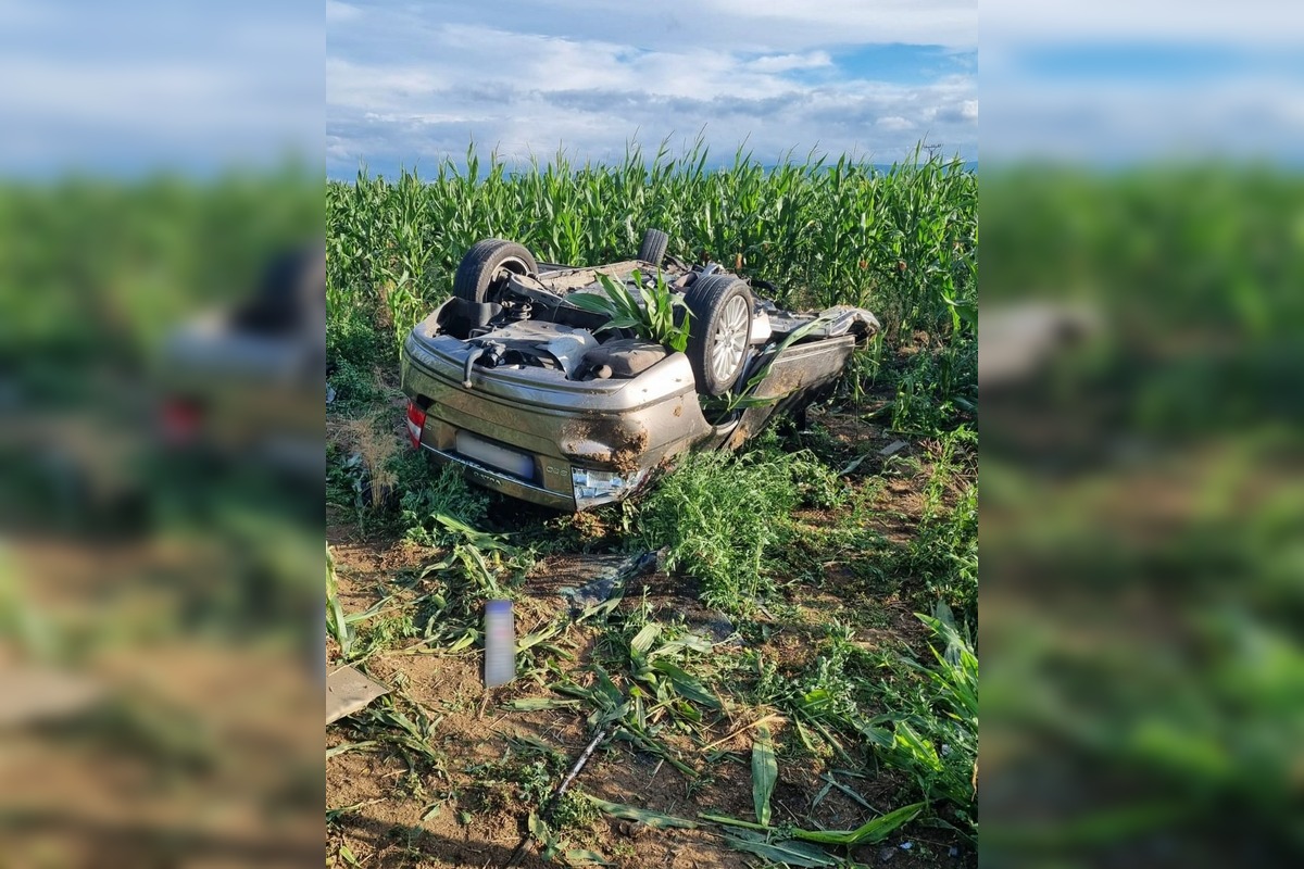 FOTO: Tragická dopravná nehoda v okrese Levice. Mladík neprežil náraz do stromu, foto 1