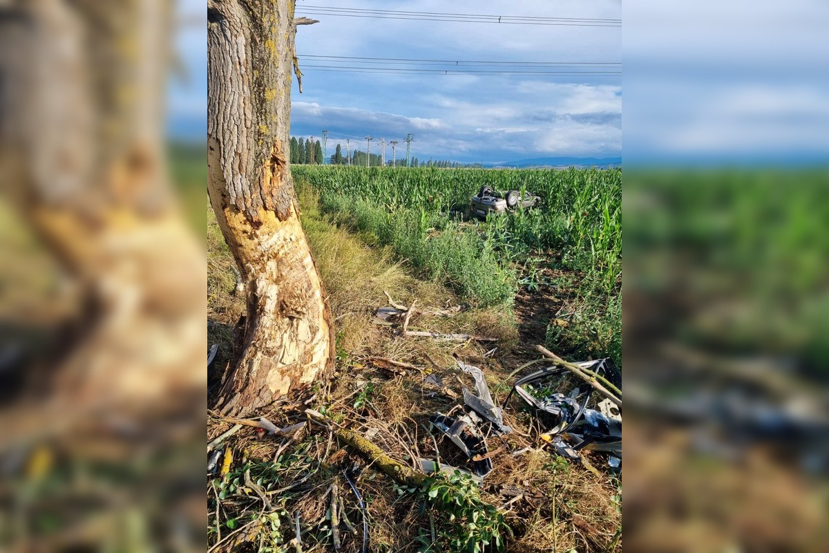 FOTO: Tragická dopravná nehoda v okrese Levice. Mladík neprežil náraz do stromu, foto 3