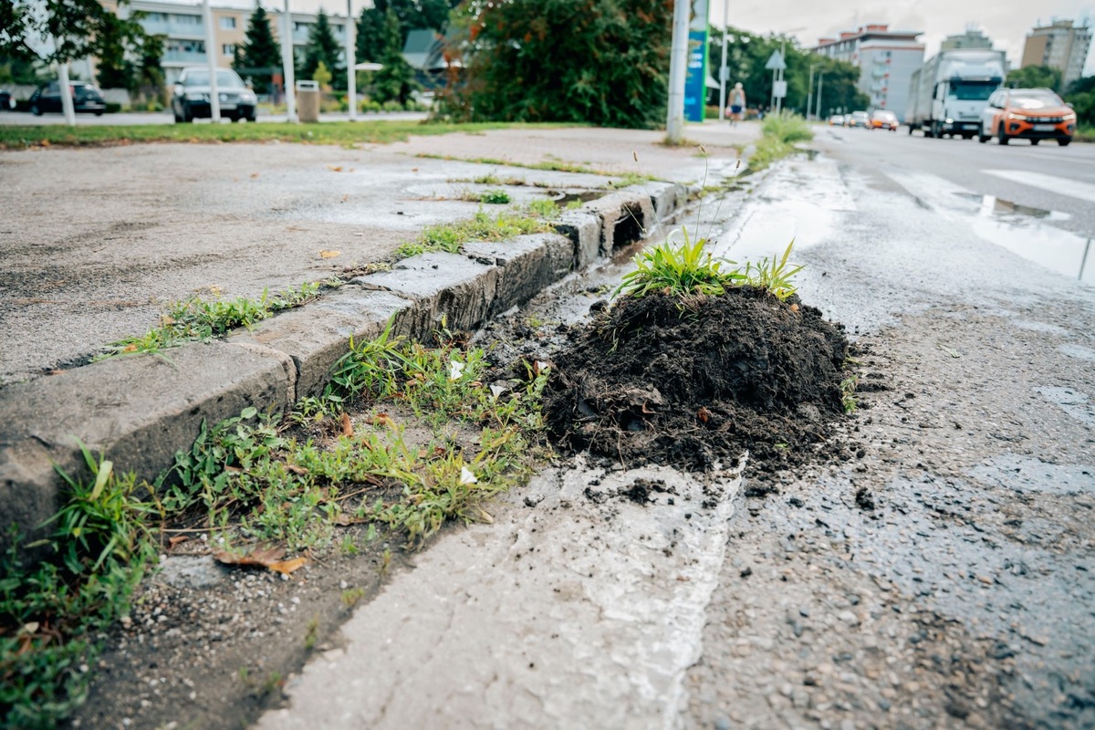 FOTO: Mesto pracuje na odstraňovaní škôd po búrkach, robí aj preventívne opatrenia proti vode, foto 4