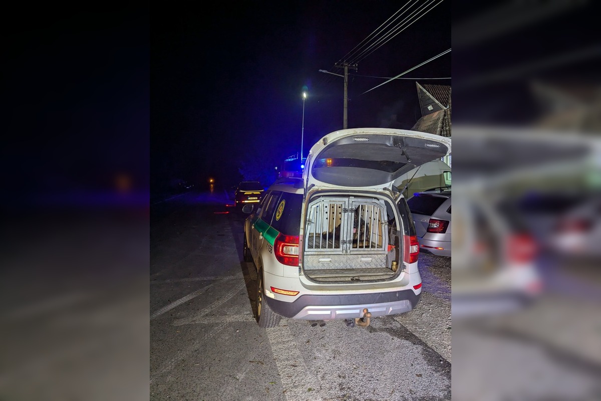 FOTO: Mäsiarstvo v Gbelciach vyhorelo počas búrky, hasiči zasahovali aj proti padajúcim stromom, foto 13