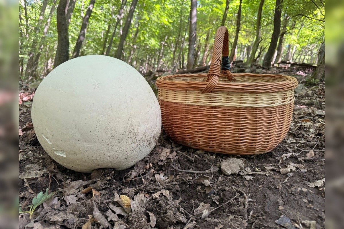 FOTO: Hubári z okresu Topoľčany sa chvália svojimi úlovkami. Pozrite, čo všetko našli, foto 4