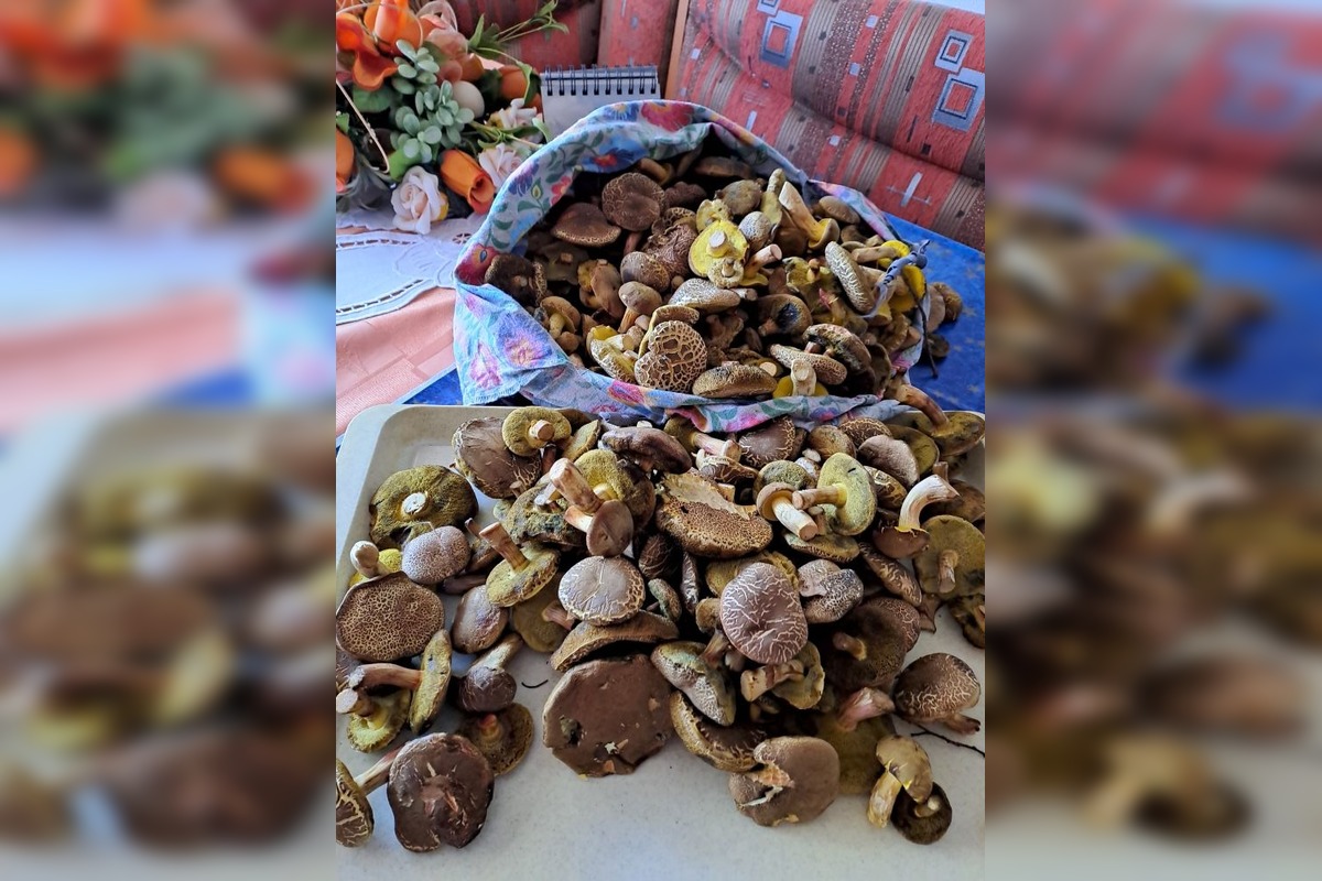 FOTO: Hubári z okresu Topoľčany sa chvália svojimi úlovkami. Pozrite, čo všetko našli, foto 3