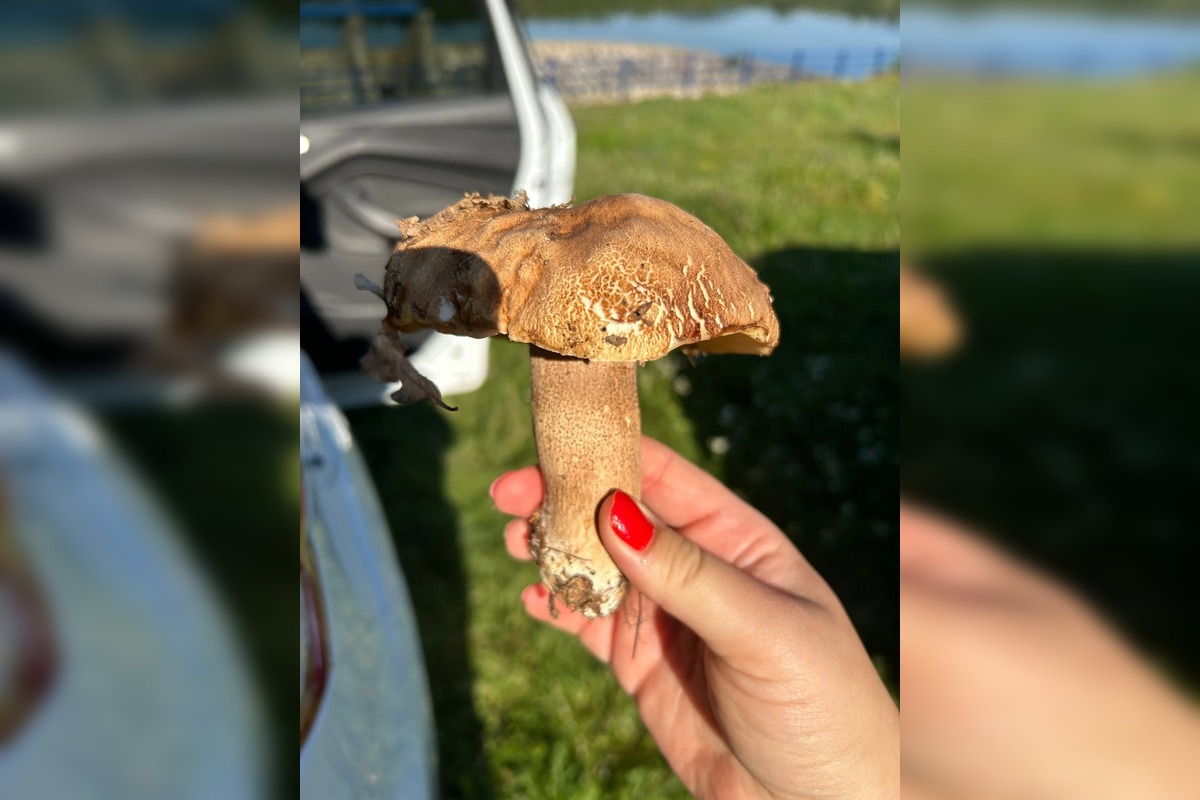 FOTO: Hubári z okresu Topoľčany sa chvália svojimi úlovkami. Pozrite, čo všetko našli, foto 6