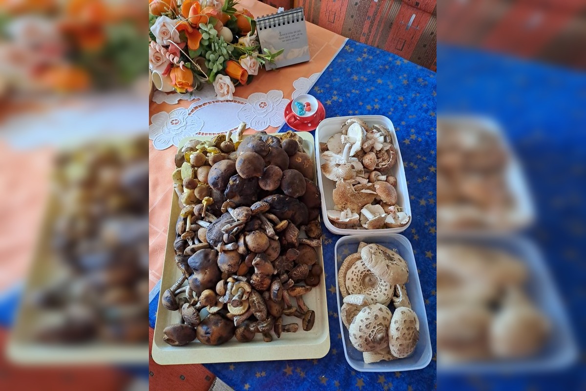 FOTO: Hubári z okresu Topoľčany sa chvália svojimi úlovkami. Pozrite, čo všetko našli, foto 7