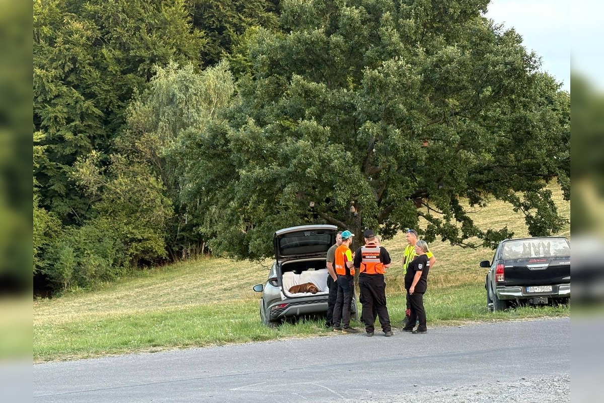 FOTO: Mladíka z Nových Zámkov hľadali pátrači aj polícia, no bolo už neskoro, foto 4