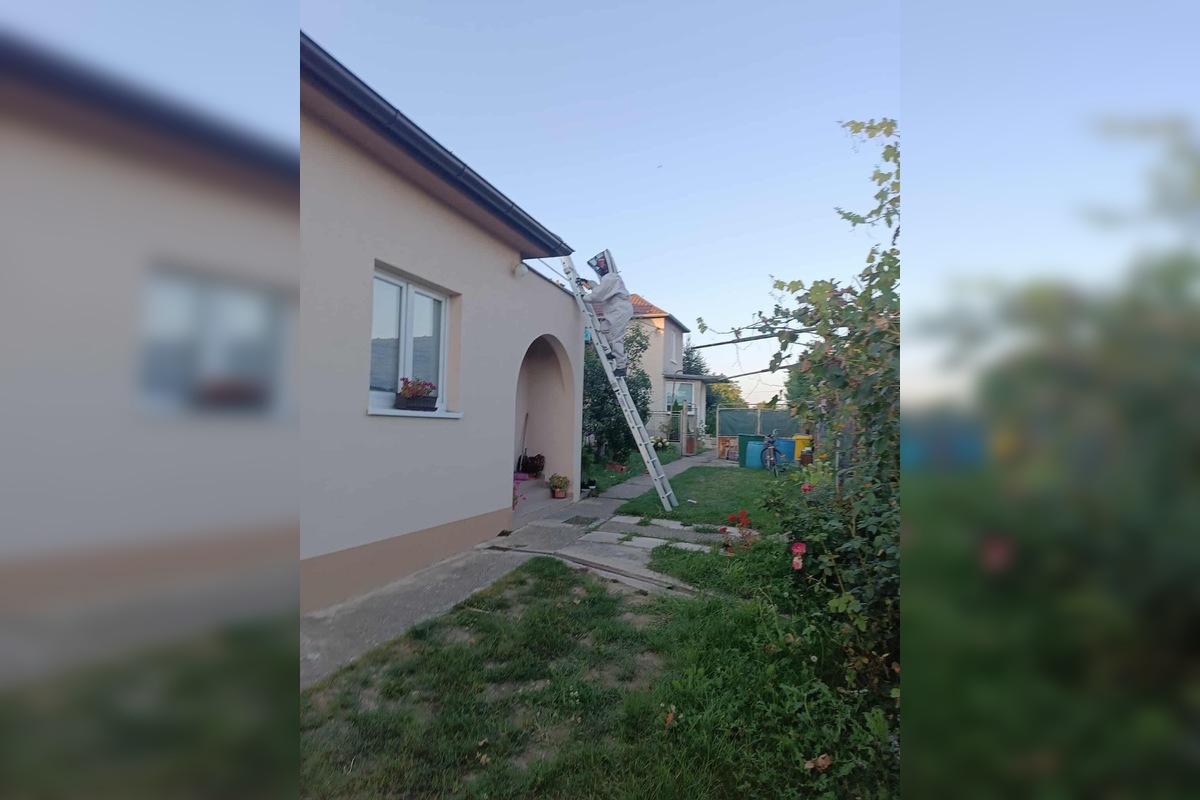 FOTO: Hájske varuje pred sršňami, hniezda sa ukrývali pod strechou aj fasádou, foto 7