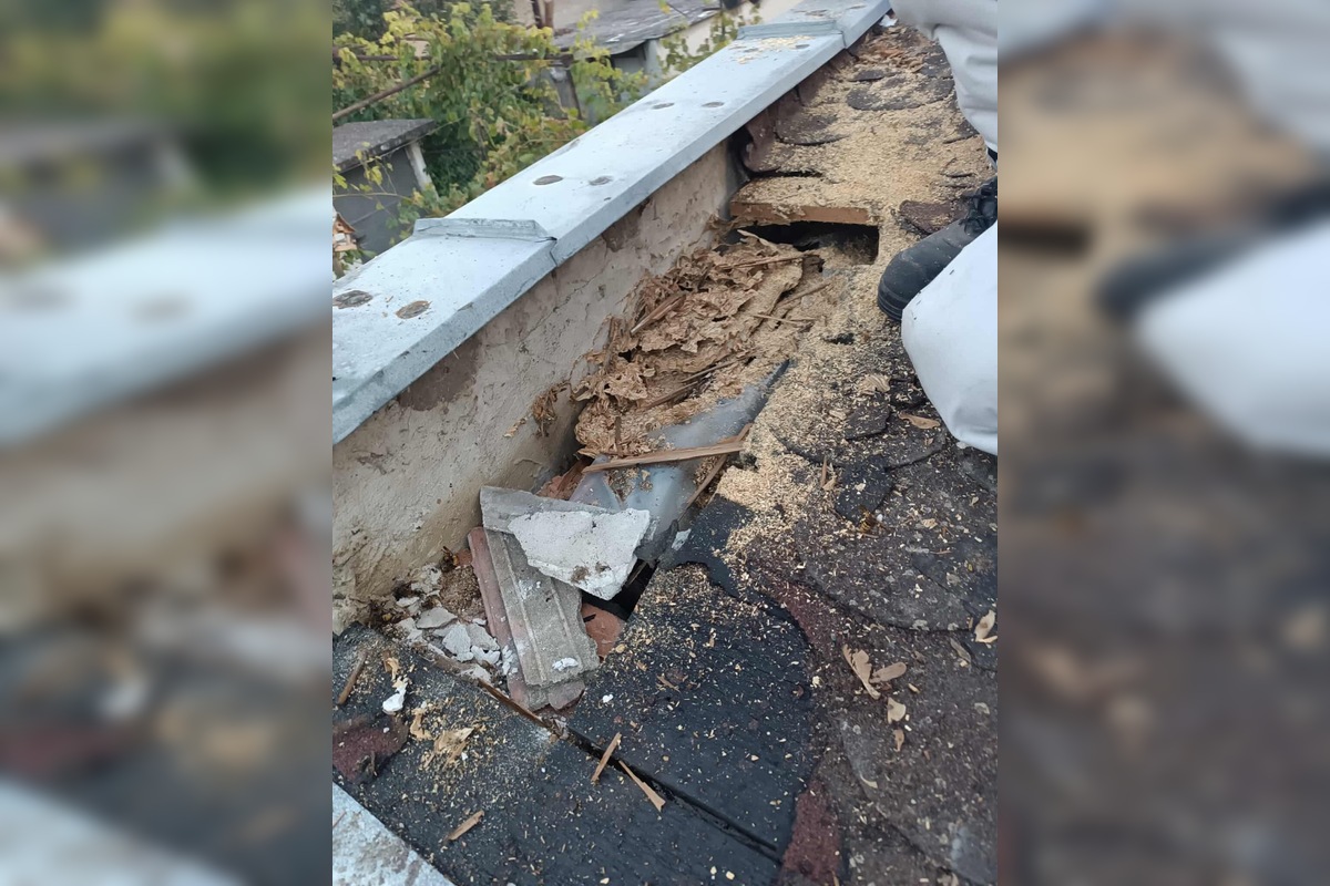 FOTO: Hájske varuje pred sršňami, hniezda sa ukrývali pod strechou aj fasádou, foto 9