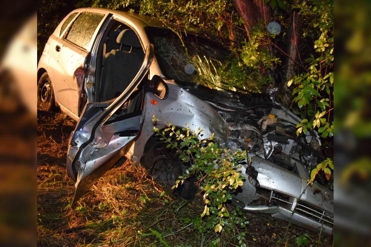 FOTO: Divoký víkend na cestách Nitrianskeho kraja. Audi skončilo v plote, Daewoo v strome, foto 4