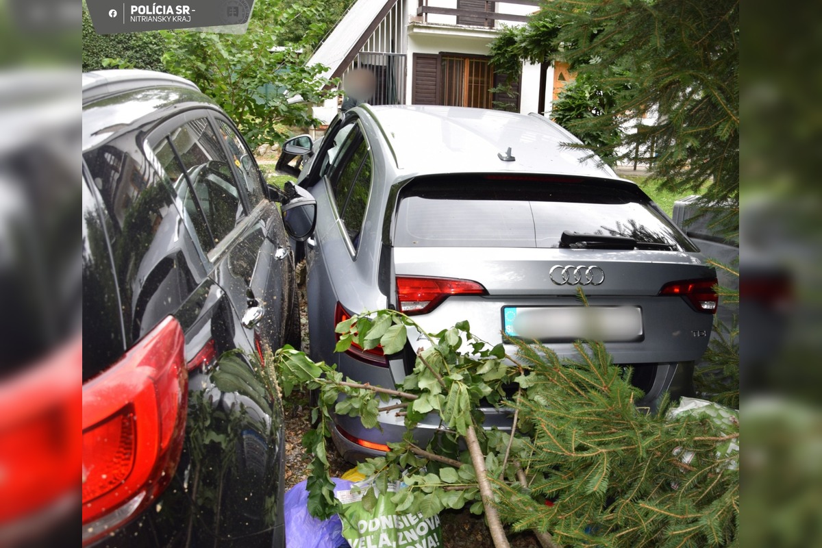 FOTO: Divoký víkend na cestách Nitrianskeho kraja. Audi skončilo v plote, Daewoo v strome, foto 1