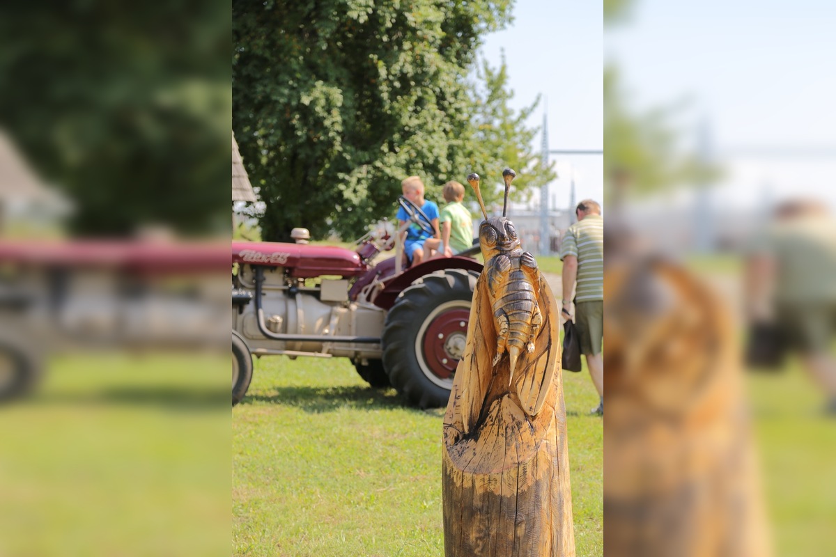FOTO: Agrokomplex Nitra 2025 je už otvorený, čaká vás živý salaš, traktorparáda, historický vláčik a mnoho ďalšieho, foto 6