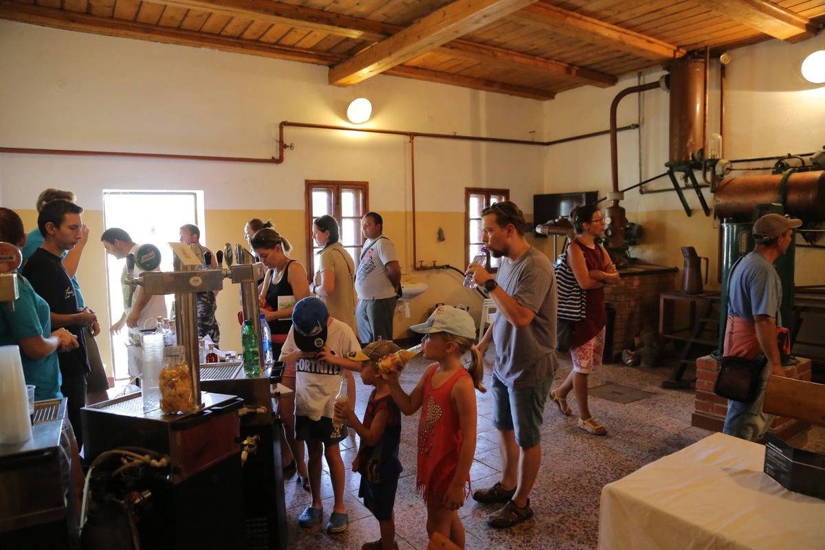 FOTO: Agrokomplex Nitra 2025 je už otvorený, čaká vás živý salaš, traktorparáda, historický vláčik a mnoho ďalšieho, foto 8