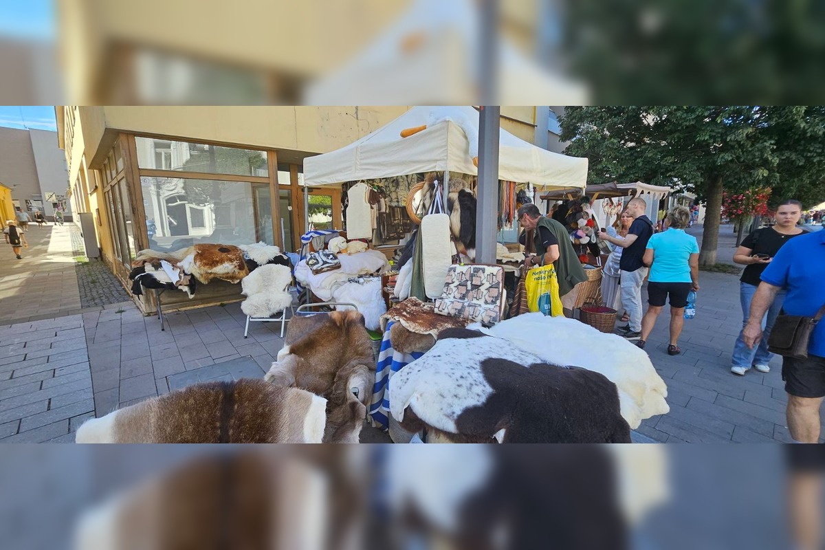 FOTO: Stánky a kolotoče na trnavskom jarmoku, foto 12