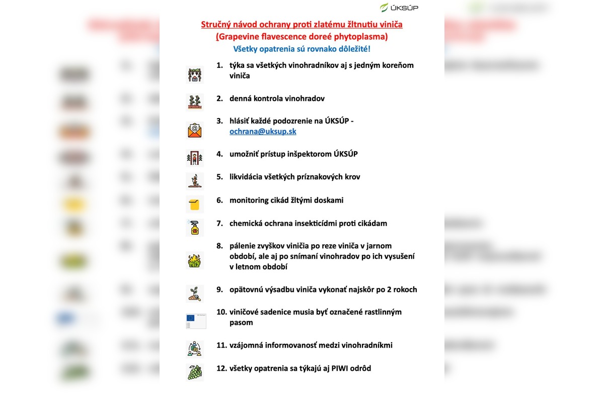 FOTO: V okresoch Nitrianskeho kraja potvrdili zlaté žltnutie viniča, platí karanténa , foto 3