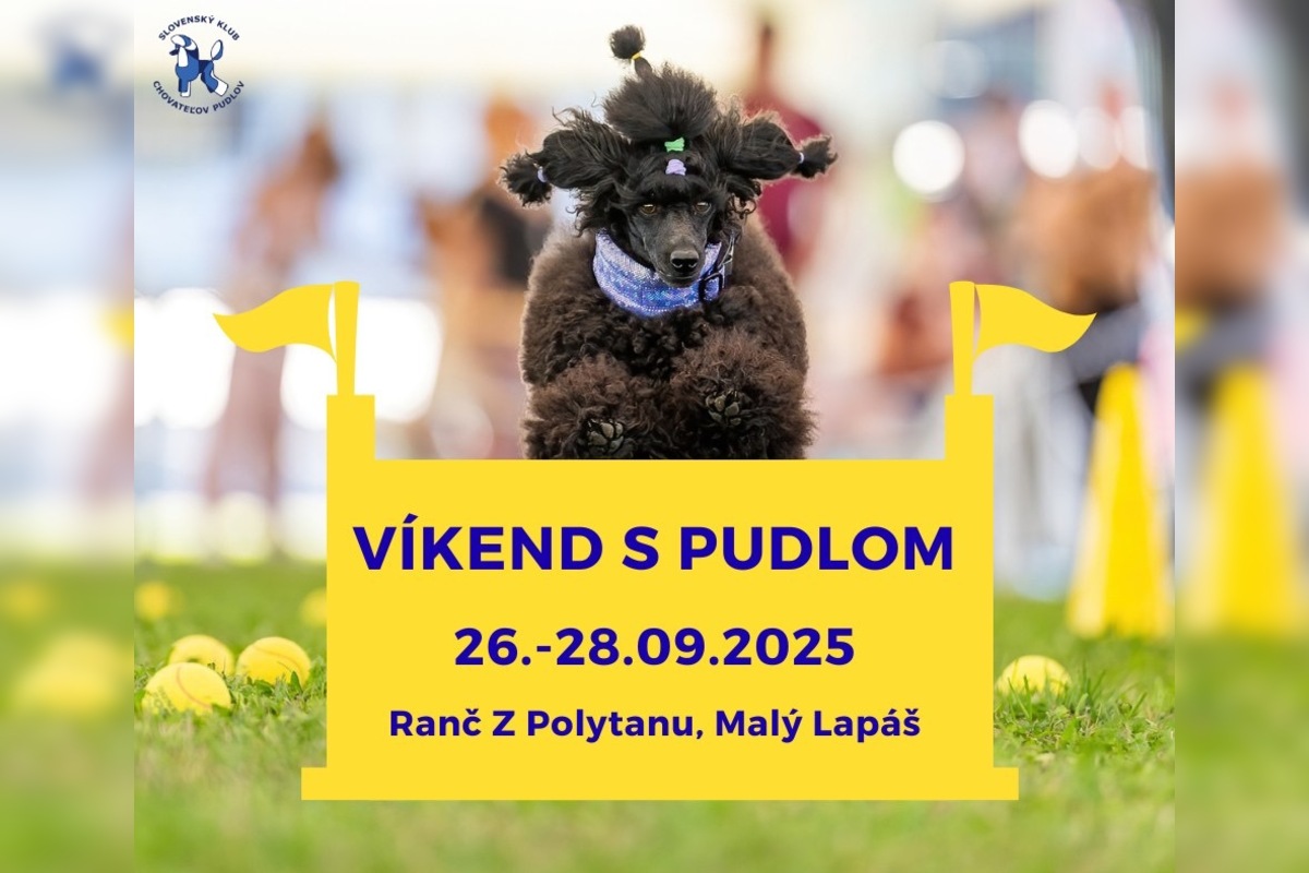 FOTO: Posledný septembrový víkend v Nitre a okolí prinesie históriu MHD, rínek, rozmanitosť aj špeciálny víkend so psami, foto 1