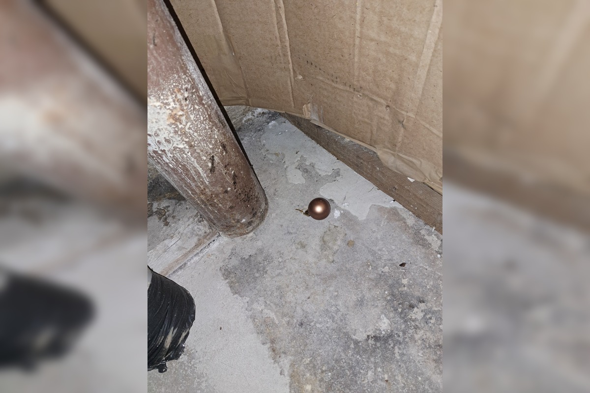 FOTO: Grinch úraduje už v októbri. Rodine z Nitry zmizol z pivnice vianočný stromček aj ozdoby, foto 5