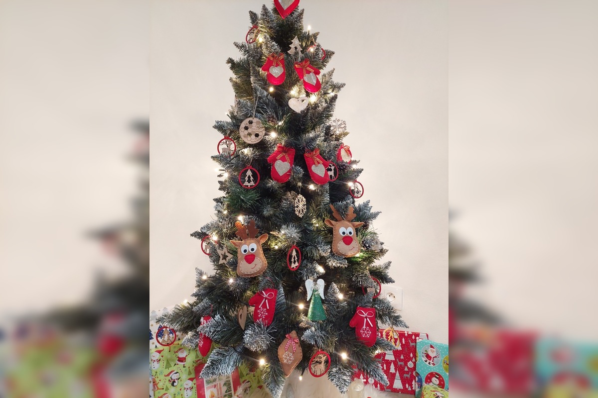 FOTO: Grinch úraduje už v októbri. Rodine z Nitry zmizol z pivnice vianočný stromček aj ozdoby, foto 2