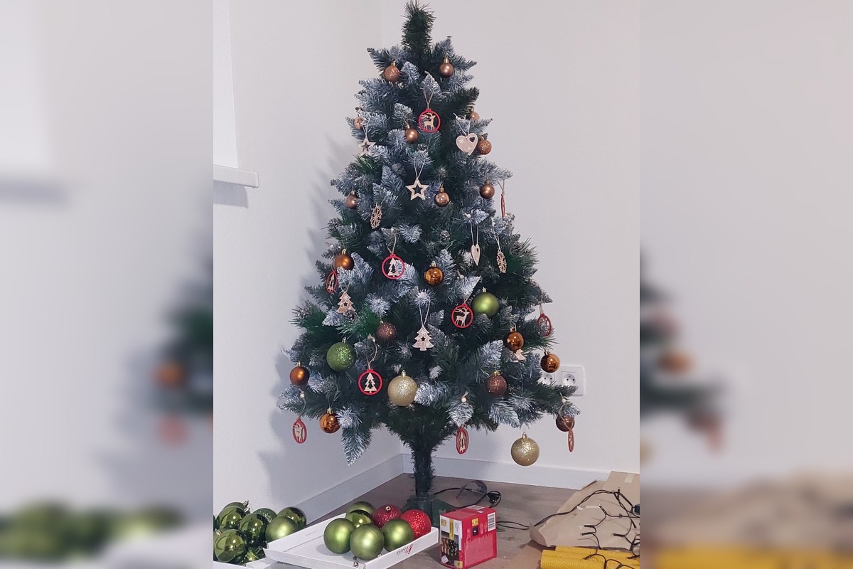 FOTO: Grinch úraduje už v októbri. Rodine z Nitry zmizol z pivnice vianočný stromček aj ozdoby, foto 3