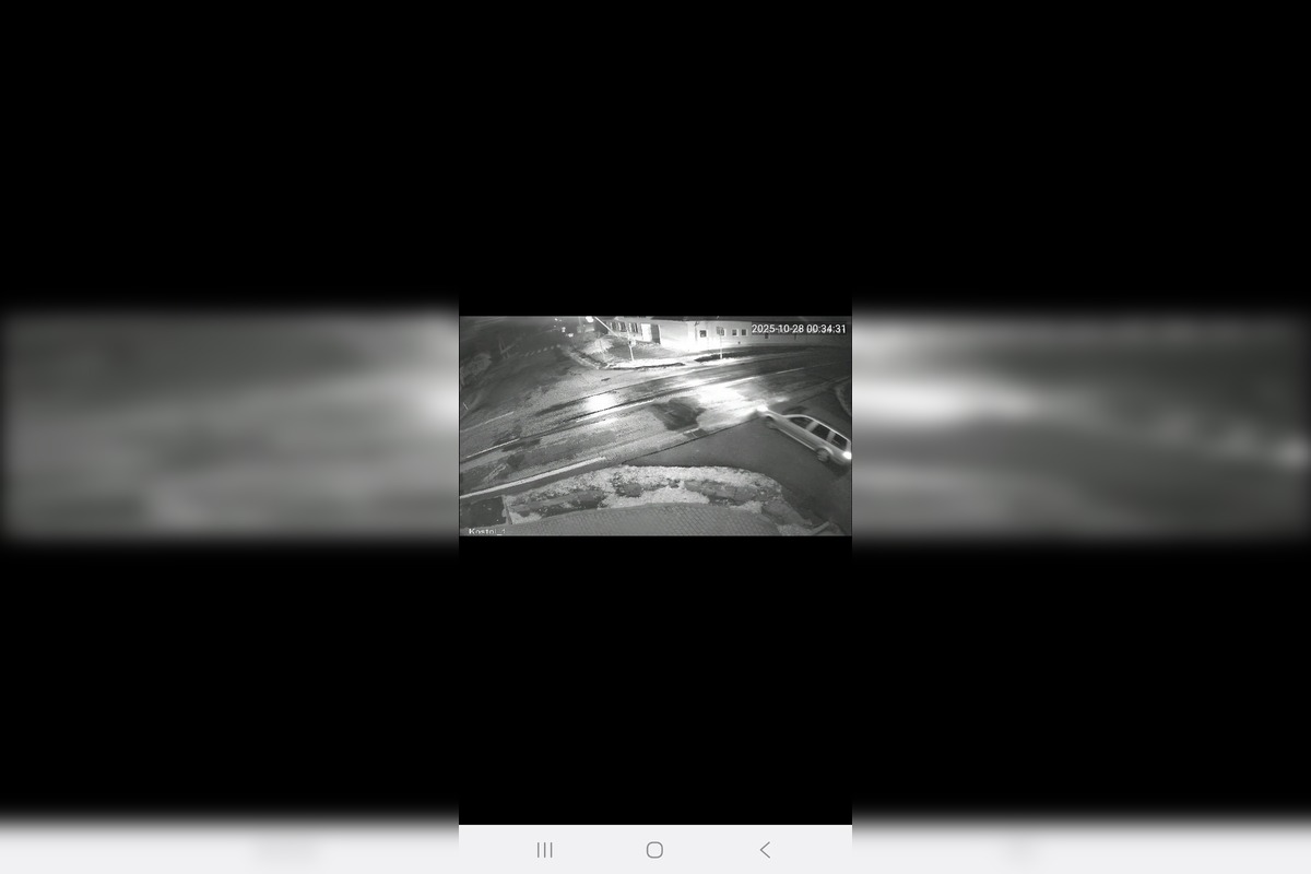 FOTO: Hľadá sa ukradnutá chryzantéma, neznámy páchateľ ju vzal rovno spred kostola v Kolte, foto 1