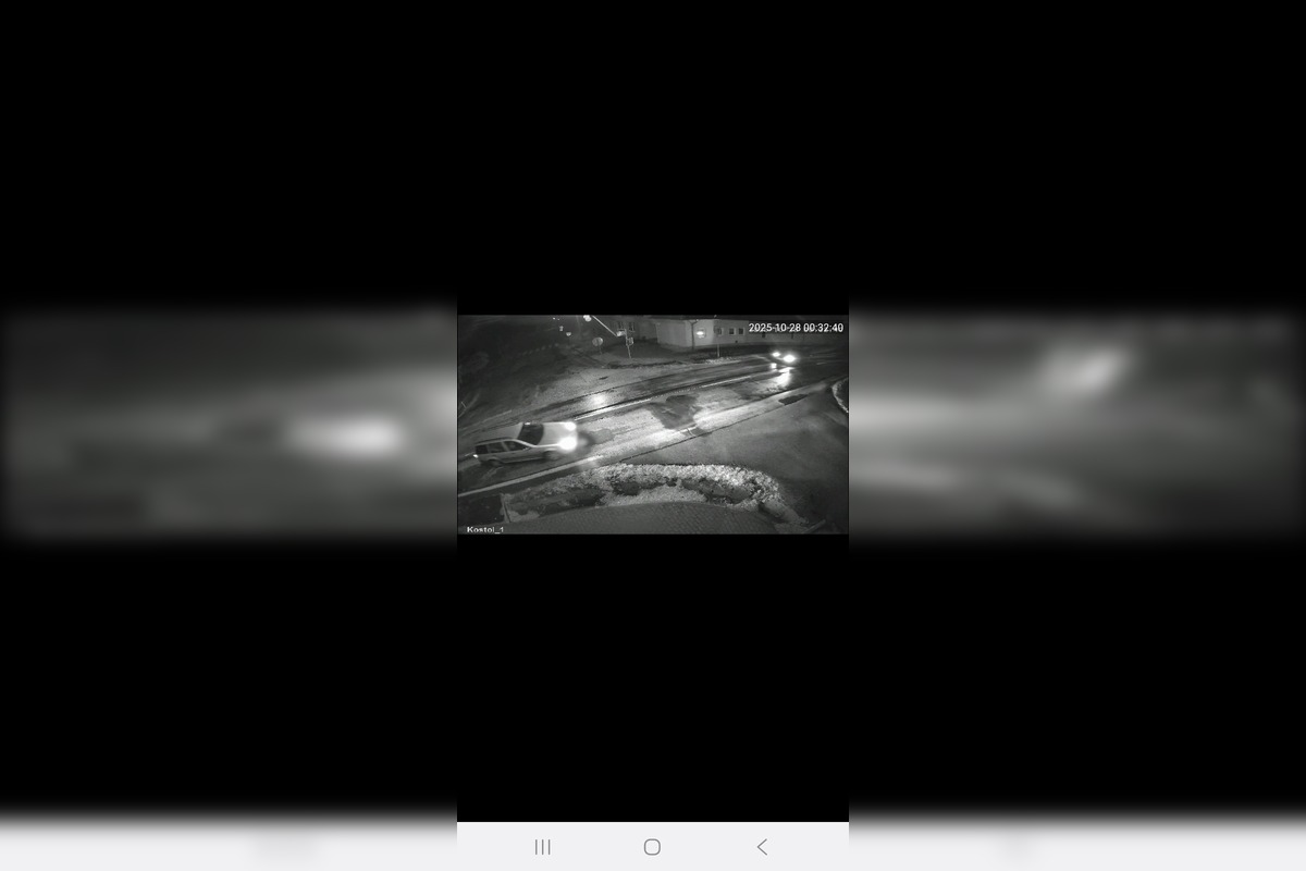 FOTO: Hľadá sa ukradnutá chryzantéma, neznámy páchateľ ju vzal rovno spred kostola v Kolte, foto 2