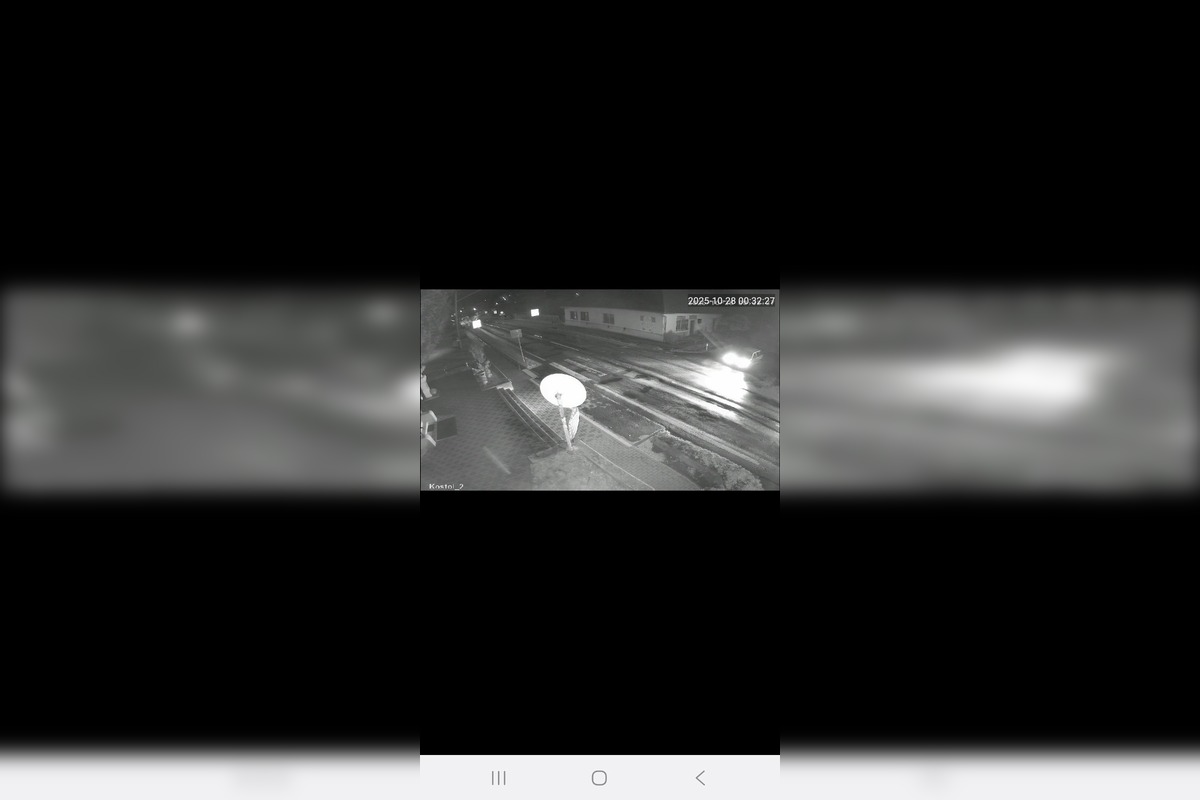 FOTO: Hľadá sa ukradnutá chryzantéma, neznámy páchateľ ju vzal rovno spred kostola v Kolte, foto 3