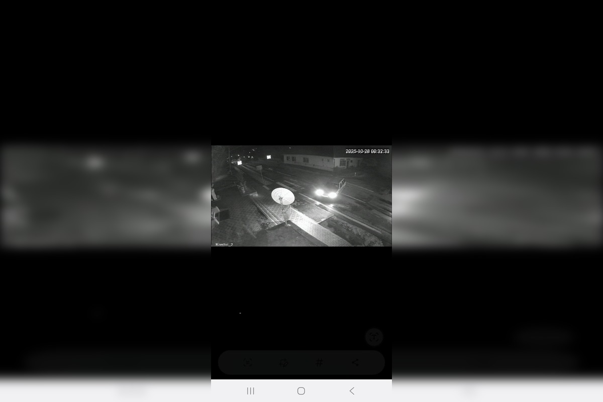 FOTO: Hľadá sa ukradnutá chryzantéma, neznámy páchateľ ju vzal rovno spred kostola v Kolte, foto 4