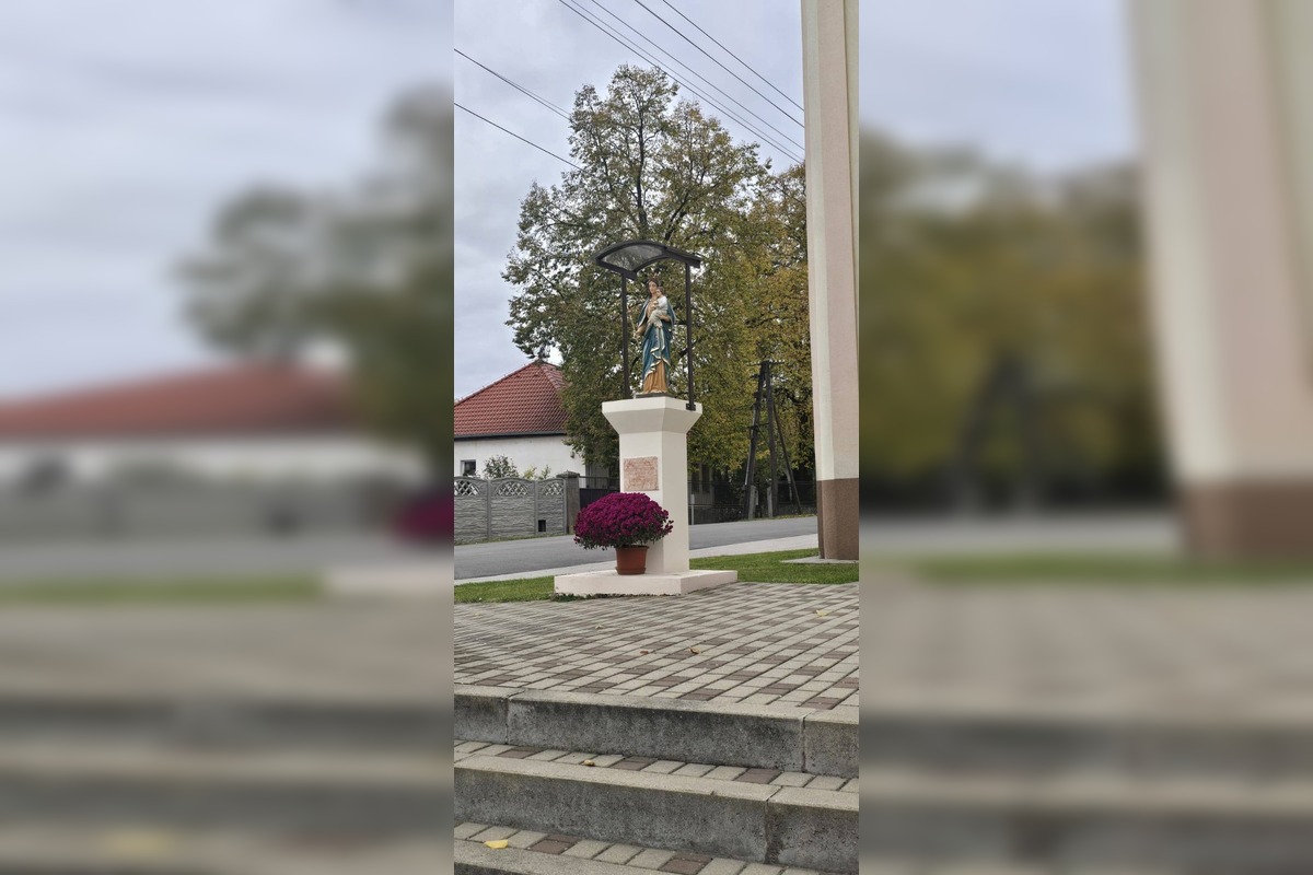 FOTO: Hľadá sa ukradnutá chryzantéma, neznámy páchateľ ju vzal rovno spred kostola v Kolte, foto 5