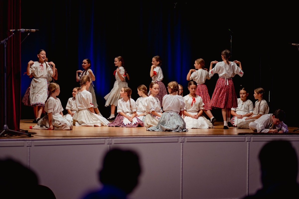 FOTO: Nitriansky kraj ocenil neprofesionálne umenie a odovzdal ceny na tradičnom podujatí SRDCE DUŠA RADOSŤ 2025, foto 2