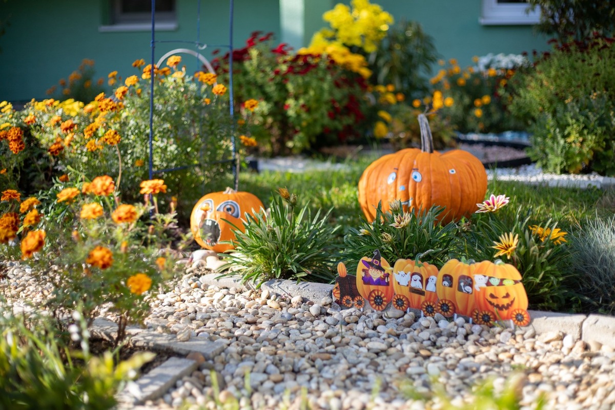 FOTO: Najkrajšie jesenné predzáhradky v Topoľčanoch, foto 1