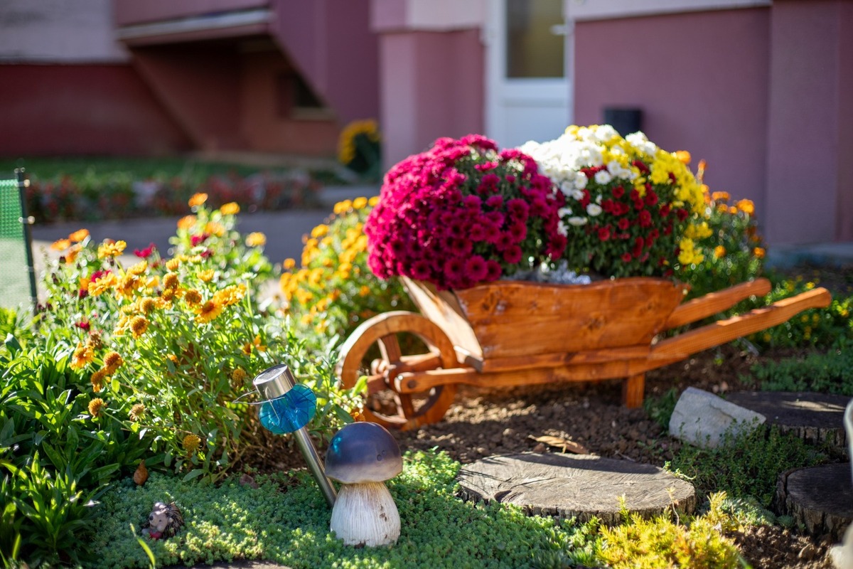 FOTO: Najkrajšie jesenné predzáhradky v Topoľčanoch, foto 3