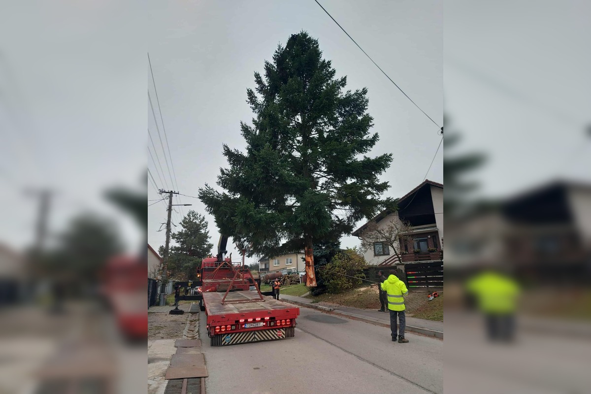 FOTO: Vianočný stromček úspešne dorazil do Topoľčian, doviezli ho z neďalekej obce, foto 3
