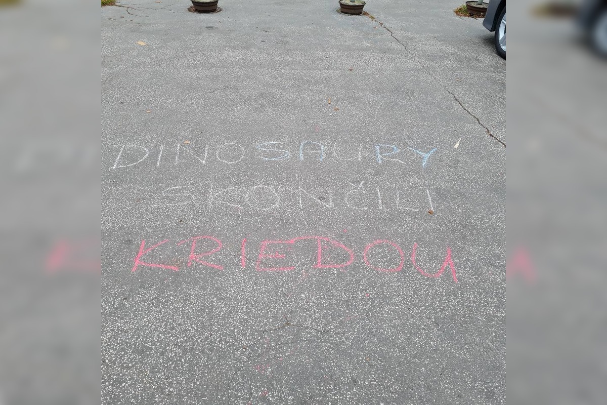 FOTO: Kriedové nápisy namierené proti vláde Roberta Fica pribudli aj pred levickým kinom Junior, foto 3