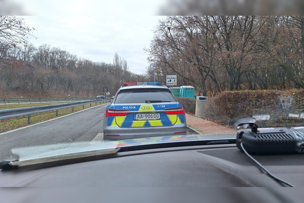 FOTO: Stratená jazvečíčka Fara napáchala na ceste R1 poriadny rozruch, foto 4