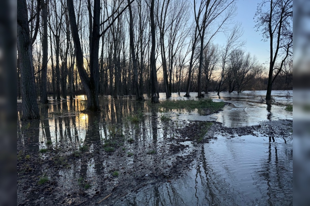 FOTO: V Kalnej nad Hronom zaplavilo rekreačný areál Ostrov pohybu, foto 3
