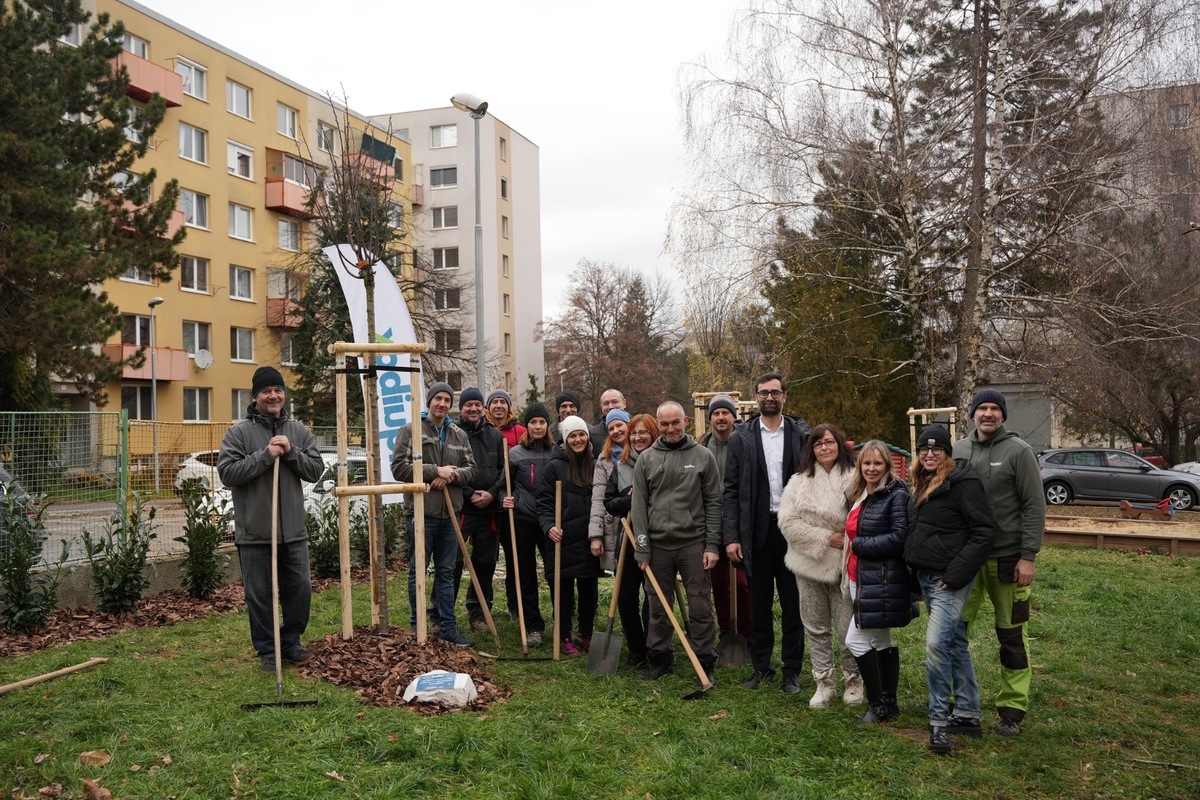 FOTO: Pre deti v Materskej škole Bazovského v Nitre priniesli a zasadili nové stromy a kríky, budú rásť s nimi, foto 3