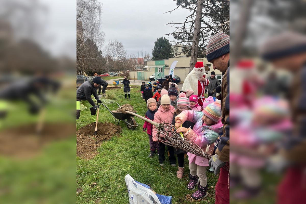 FOTO: Pre deti v Materskej škole Bazovského v Nitre priniesli a zasadili nové stromy a kríky, budú rásť s nimi, foto 5