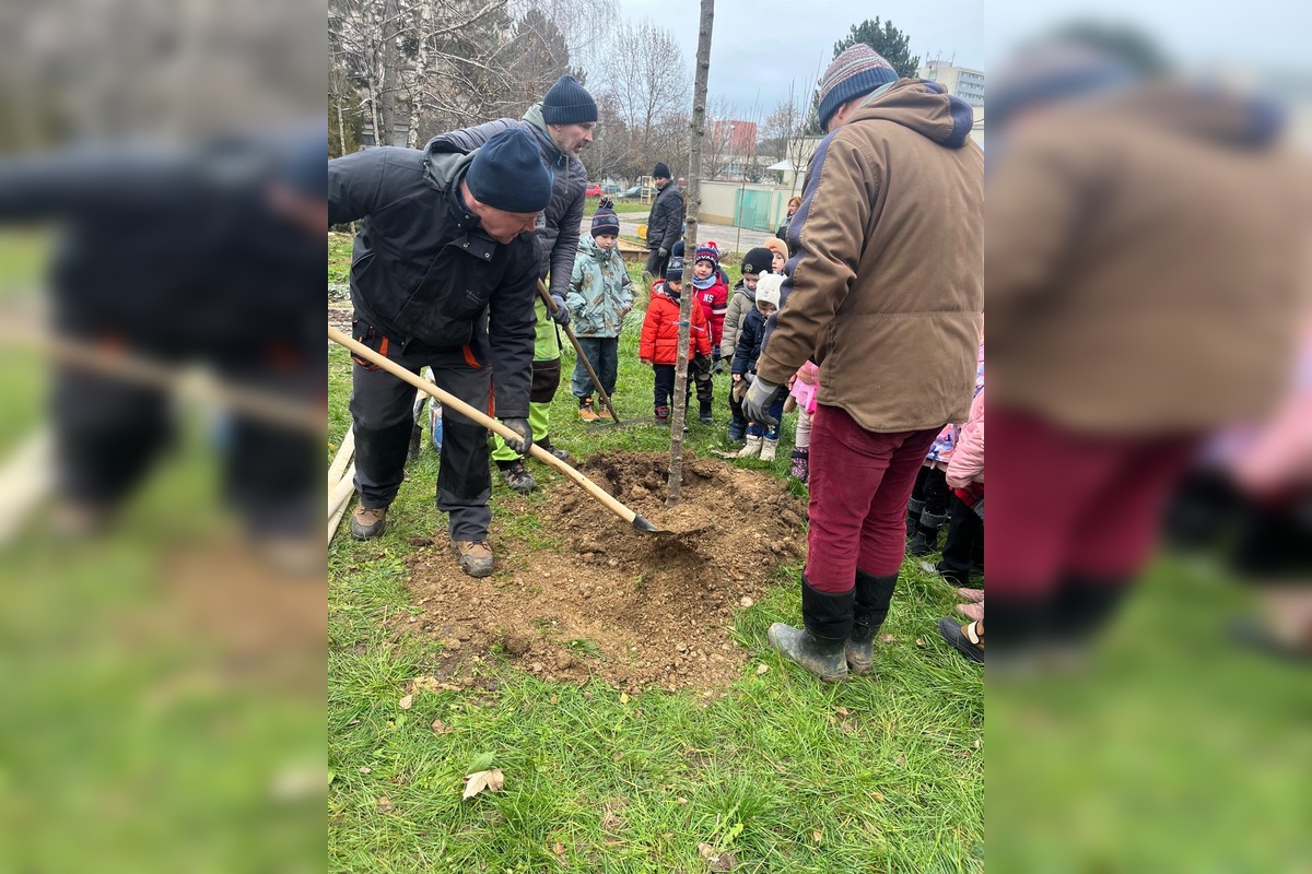 FOTO: Pre deti v Materskej škole Bazovského v Nitre priniesli a zasadili nové stromy a kríky, budú rásť s nimi, foto 6