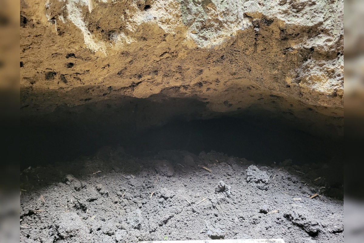 FOTO: Pole pri Branči skrývalo tajomstvo, archeológovia odkryli na Slovensku takmer nevídané podzemie, foto 2