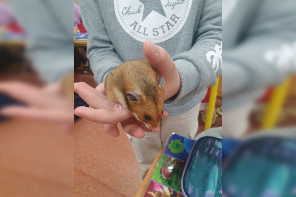 FOTO: Neuveriteľná biológia v Kalnej nad Hronom. Deti si do triedy priniesli psy, hus aj kačicu, foto 2