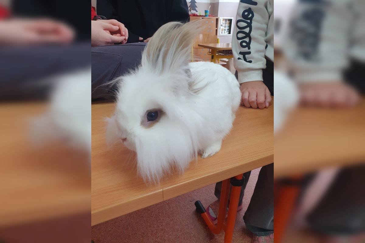 FOTO: Neuveriteľná biológia v Kalnej nad Hronom. Deti si do triedy priniesli psy, hus aj kačicu, foto 9