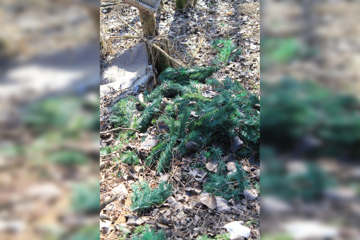 FOTO: Novú cyklotrasu z Nových Zámkov do Nesvád hyzdia odpadky, miestny cyklista pozýva na brigádu, foto 2