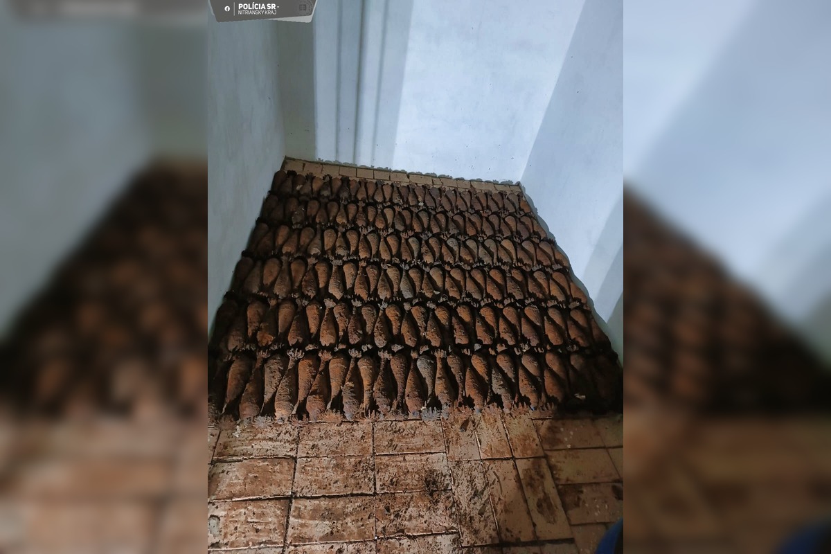 FOTO: V obci Chľaba sa našlo rekordných 180 kusov delostreleckých mín , foto 3