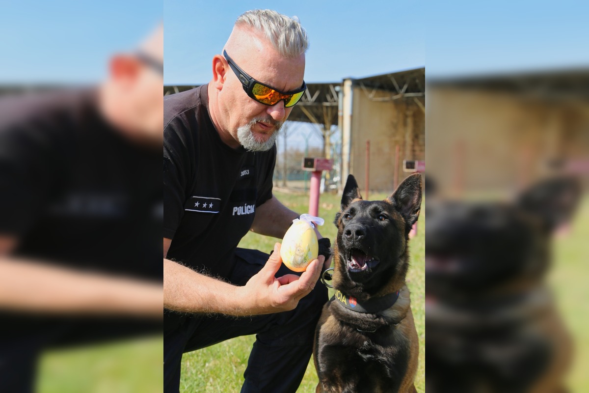 FOTO: Veľkú noc oslávili aj policajné psy, foto 2