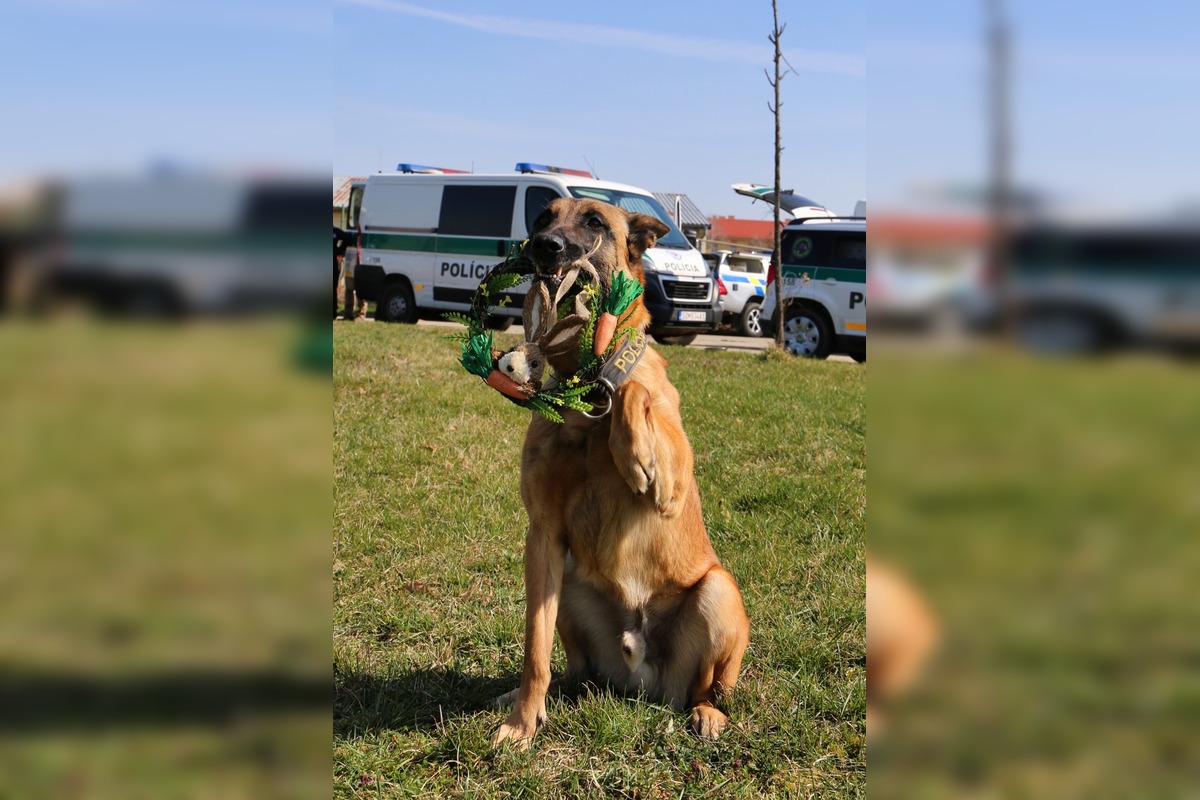 FOTO: Veľkú noc oslávili aj policajné psy, foto 3