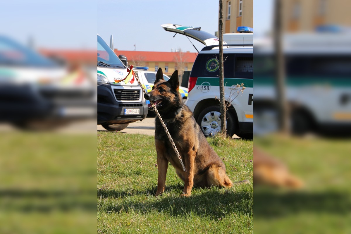 FOTO: Veľkú noc oslávili aj policajné psy, foto 4