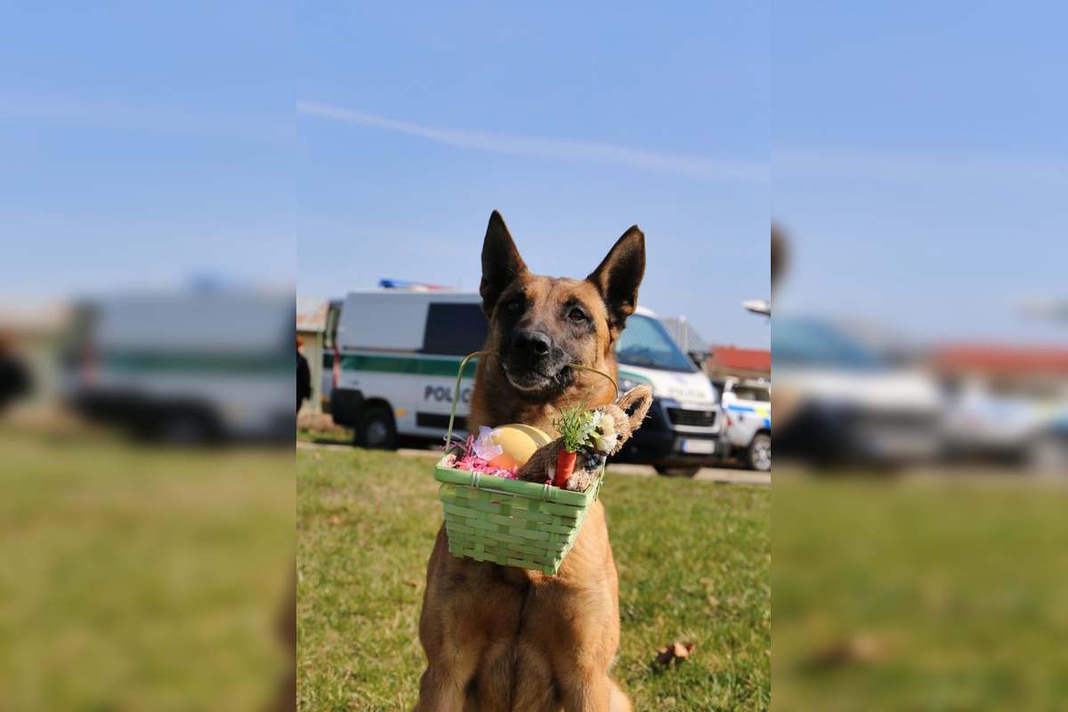 FOTO: Veľkú noc oslávili aj policajné psy, foto 5