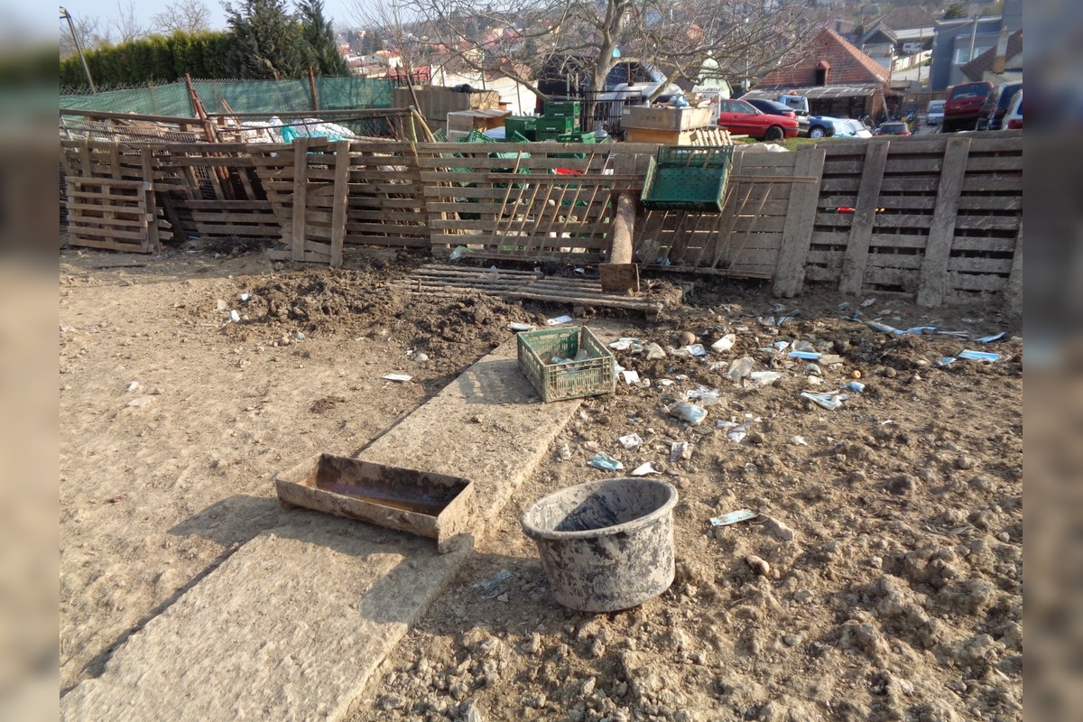 FOTO: Hospodárske zvieratá v Golianove žili v otrasných podmienkach, bez potravy a medzi tisíckami rúšok, foto 4