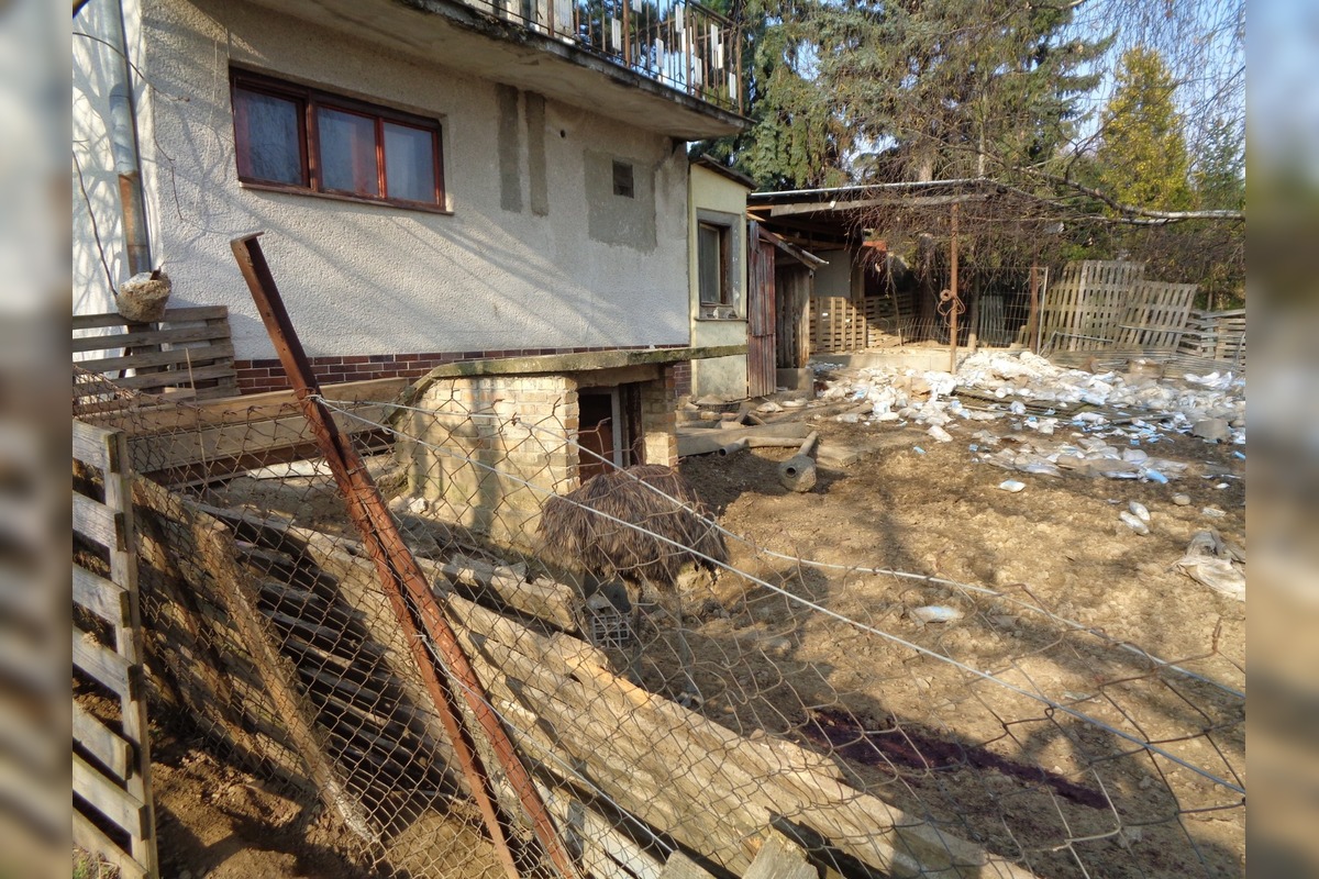 FOTO: Hospodárske zvieratá v Golianove žili v otrasných podmienkach, bez potravy a medzi tisíckami rúšok, foto 5